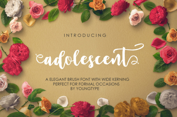 Adolescent: A Refined Script Font for Web Design