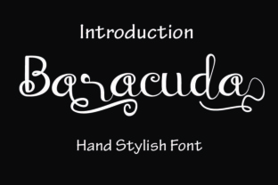 Baraccuda: A Script Font for Bold Campaigns