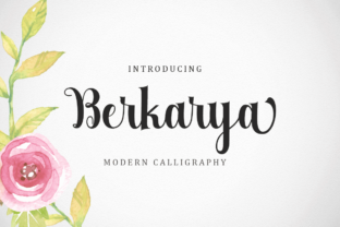 Berkarya Font Review for Web Designers