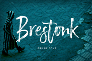 Brestonk Font Review: A Warm Script for Web Design