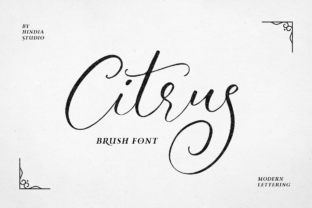 Citrus: A Handmade Script Font for Editorial Design