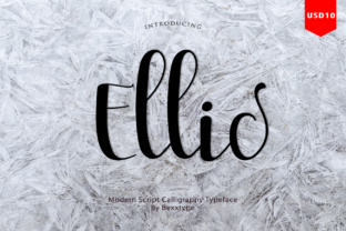 Ellic: A Designer’s Honest Take on Script Amp’s Latest Release