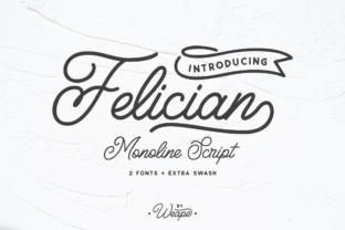Felician: A Modern Typeface for Polished Branding