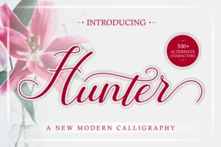 Hunter Script: A Designer’s Honest Review for Branding