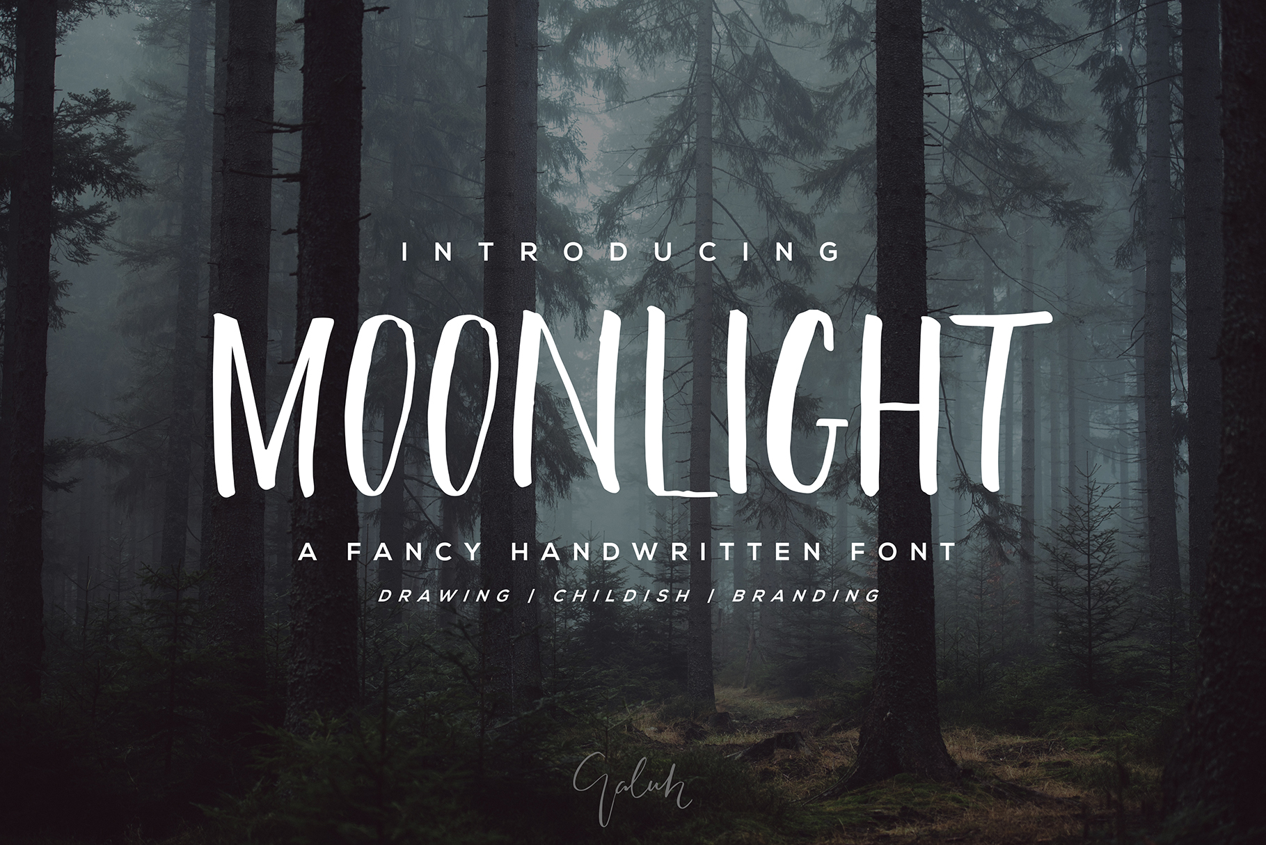 Moonlight: A Designer’s Honest Review