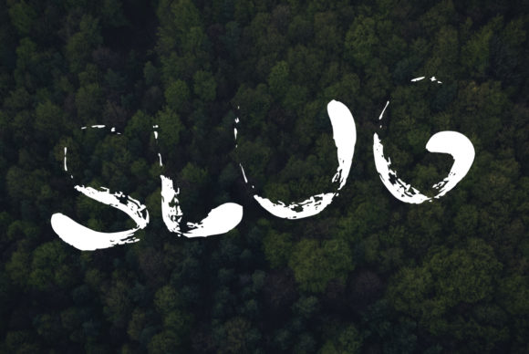 Slug Typeface: A Bold Choice for Small Business Branding